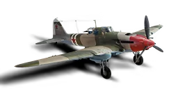 IL-2M